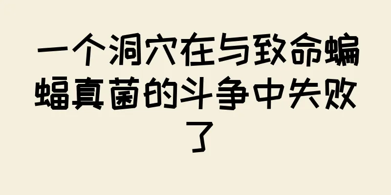 一个洞穴在与致命蝙蝠真菌的斗争中失败了