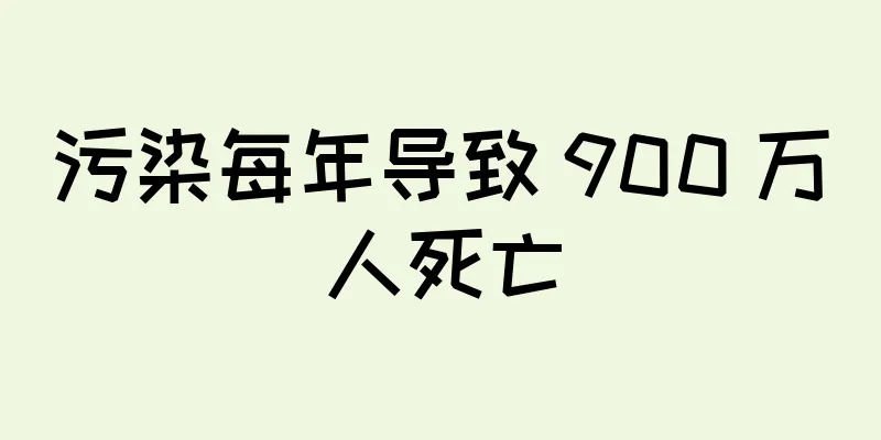 污染每年导致 900 万人死亡