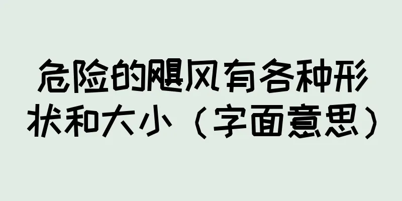 危险的飓风有各种形状和大小（字面意思）