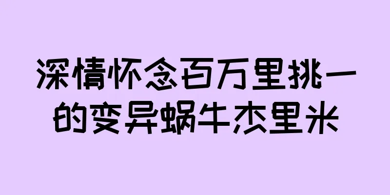 深情怀念百万里挑一的变异蜗牛杰里米
