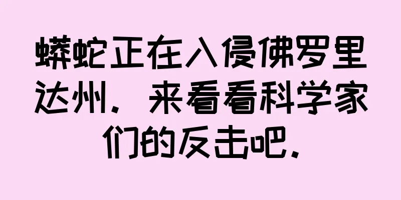 蟒蛇正在入侵佛罗里达州。来看看科学家们的反击吧。