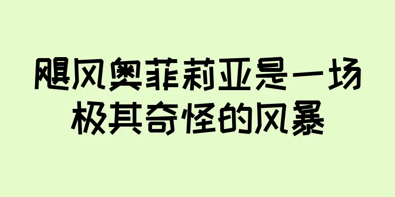 飓风奥菲莉亚是一场极其奇怪的风暴