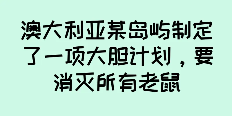 澳大利亚某岛屿制定了一项大胆计划，要消灭所有老鼠