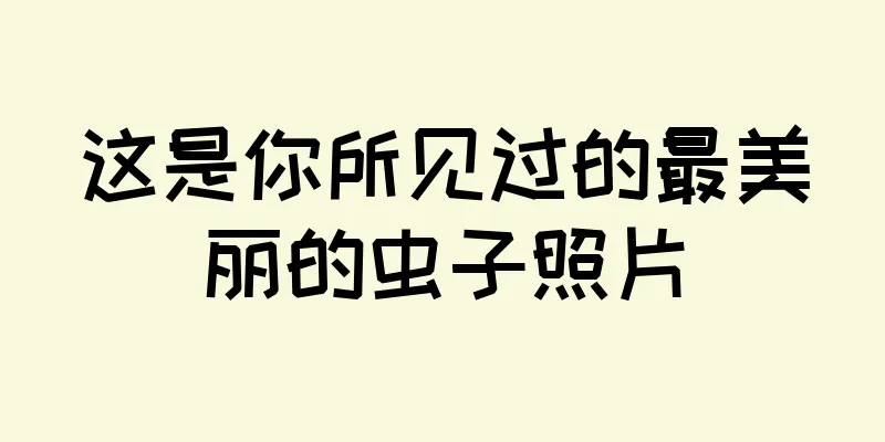 这是你所见过的最美丽的虫子照片