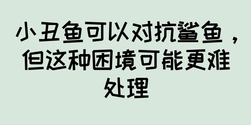 小丑鱼可以对抗鲨鱼，但这种困境可能更难处理