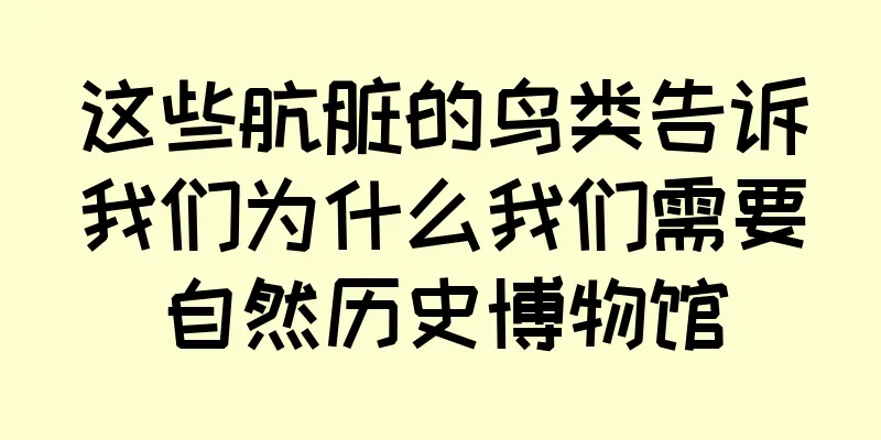 这些肮脏的鸟类告诉我们为什么我们需要自然历史博物馆