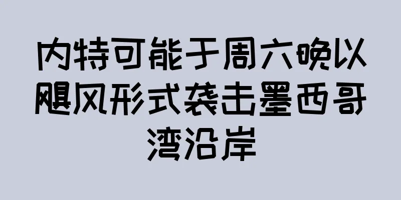 内特可能于周六晚以飓风形式袭击墨西哥湾沿岸