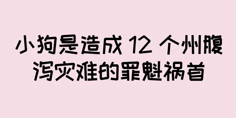 小狗是造成 12 个州腹泻灾难的罪魁祸首