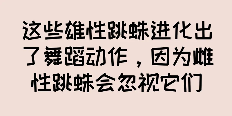 这些雄性跳蛛进化出了舞蹈动作，因为雌性跳蛛会忽视它们