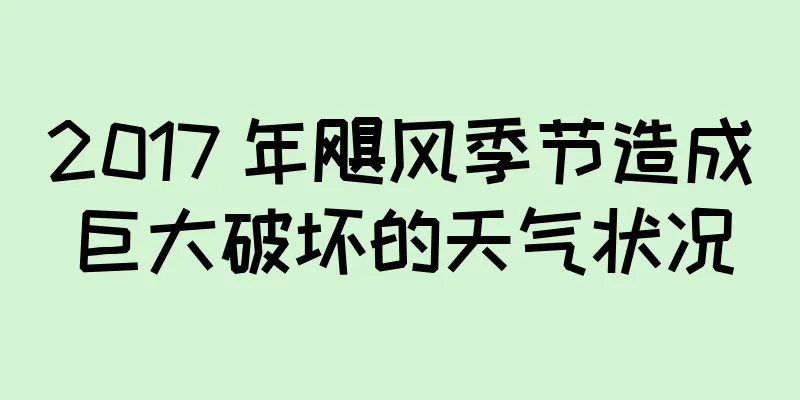 2017 年飓风季节造成巨大破坏的天气状况