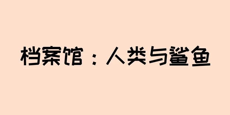 档案馆：人类与鲨鱼