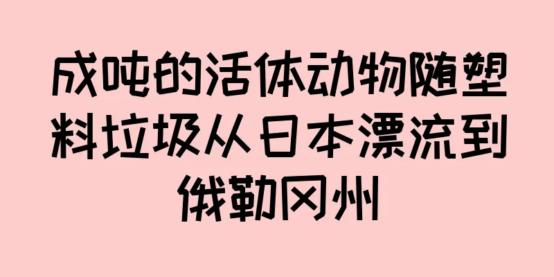 成吨的活体动物随塑料垃圾从日本漂流到俄勒冈州