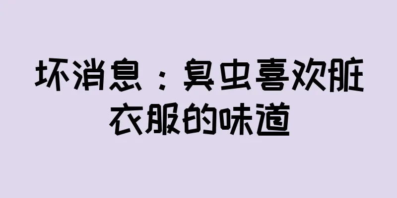 坏消息：臭虫喜欢脏衣服的味道