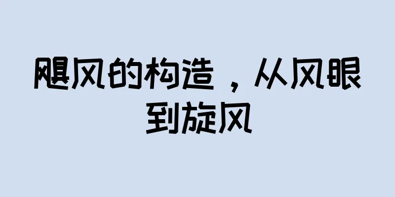 飓风的构造，从风眼到旋风