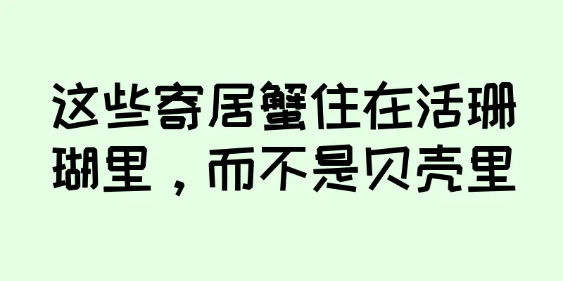 这些寄居蟹住在活珊瑚里，而不是贝壳里