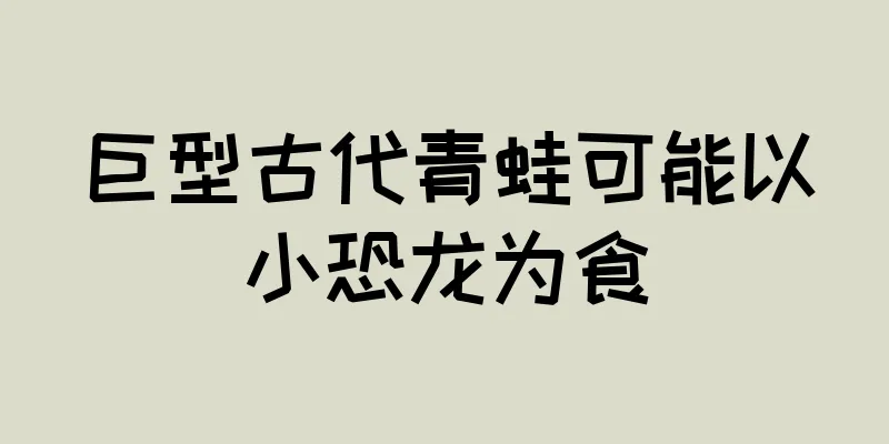 巨型古代青蛙可能以小恐龙为食