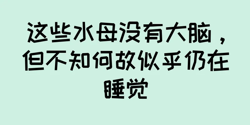 这些水母没有大脑，但不知何故似乎仍在睡觉