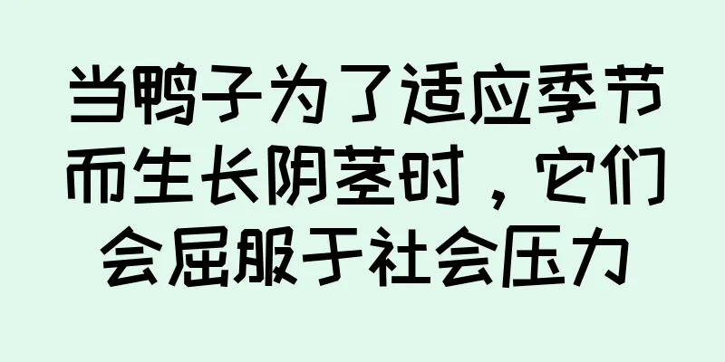 当鸭子为了适应季节而生长阴茎时，它们会屈服于社会压力