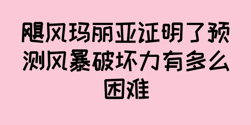 飓风玛丽亚证明了预测风暴破坏力有多么困难
