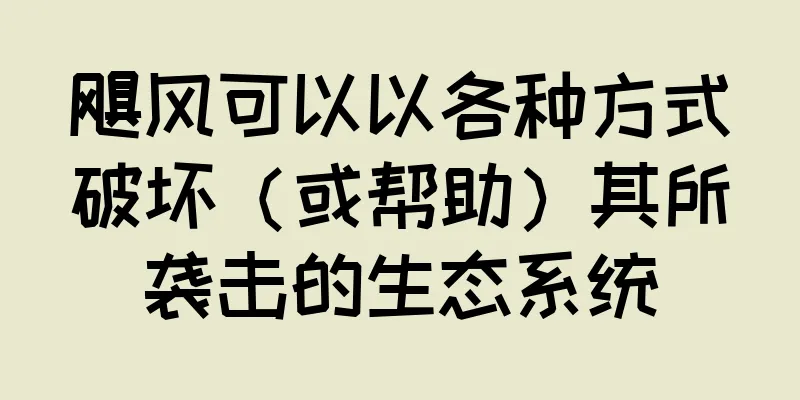 飓风可以以各种方式破坏（或帮助）其所袭击的生态系统