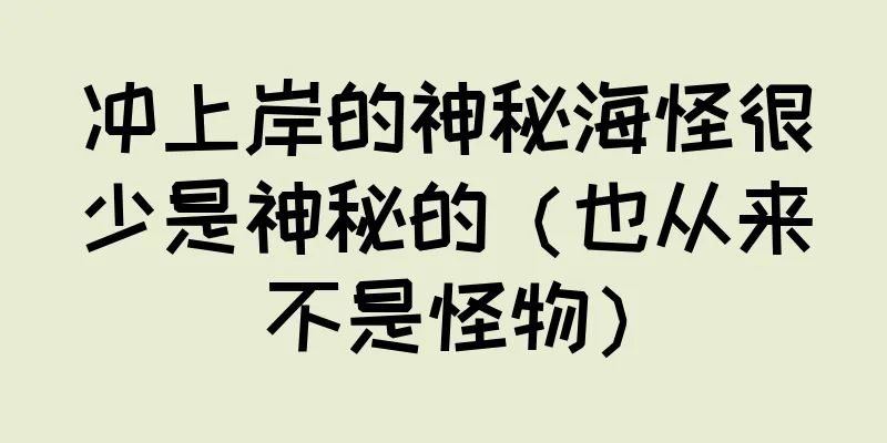 冲上岸的神秘海怪很少是神秘的（也从来不是怪物）