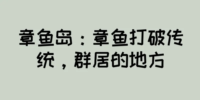 章鱼岛：章鱼打破传统，群居的地方