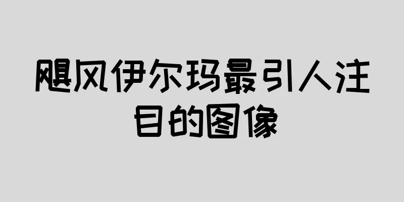 飓风伊尔玛最引人注目的图像