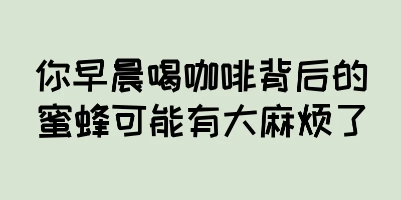 你早晨喝咖啡背后的蜜蜂可能有大麻烦了
