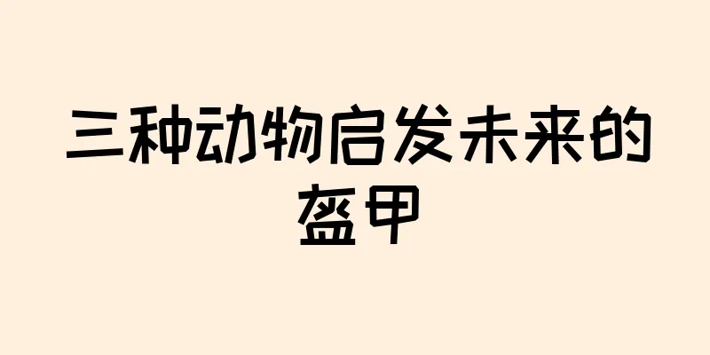 三种动物启发未来的盔甲