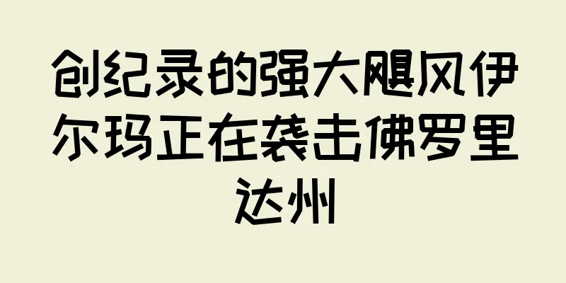 创纪录的强大飓风伊尔玛正在袭击佛罗里达州