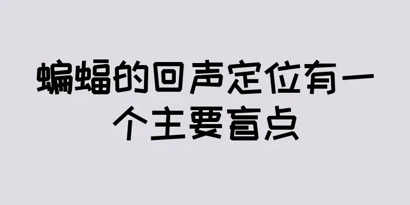 蝙蝠的回声定位有一个主要盲点