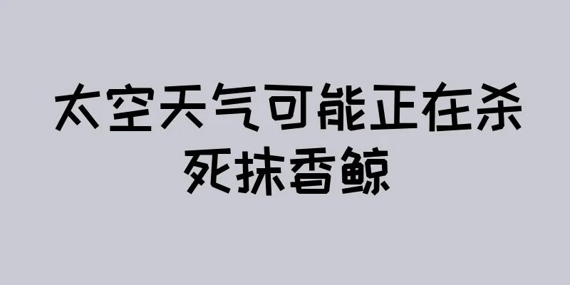 太空天气可能正在杀死抹香鲸