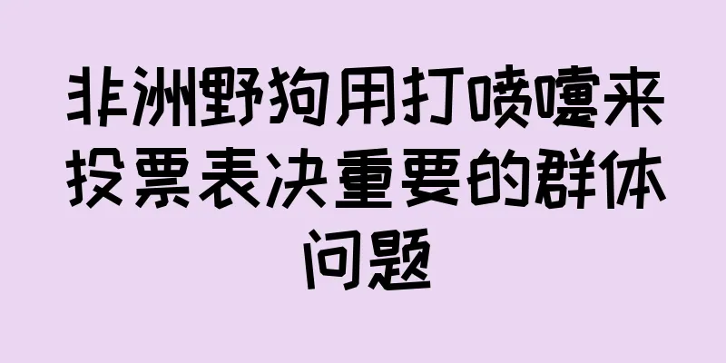 非洲野狗用打喷嚏来投票表决重要的群体问题