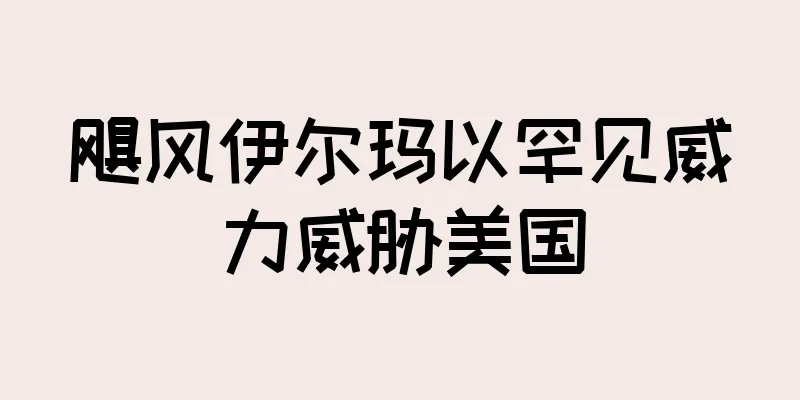 飓风伊尔玛以罕见威力威胁美国