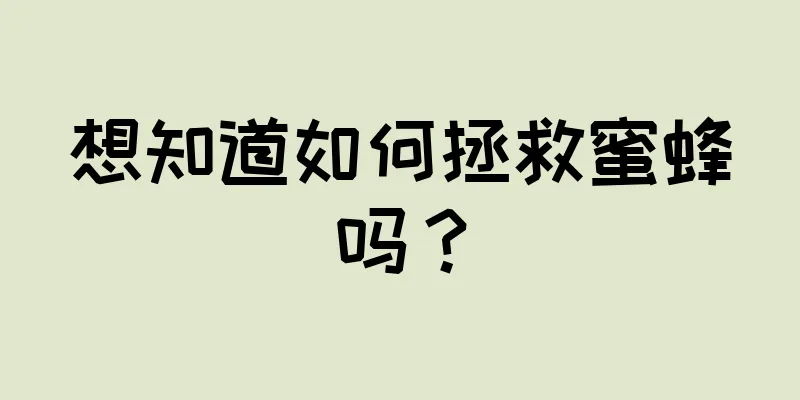 想知道如何拯救蜜蜂吗？