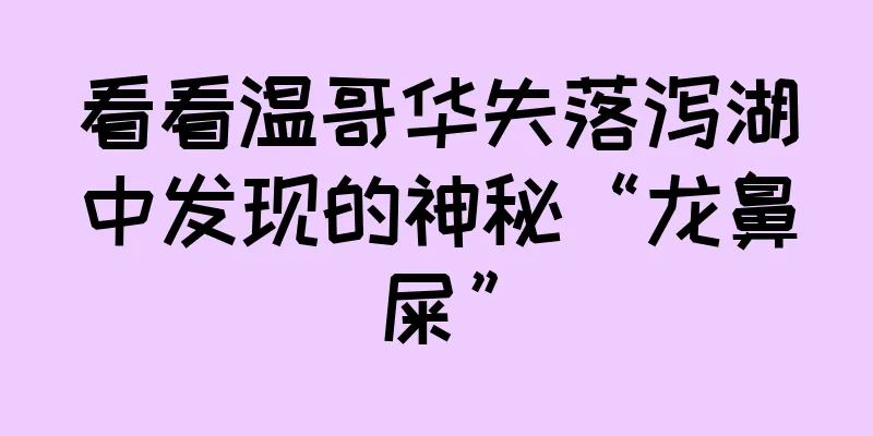 看看温哥华失落泻湖中发现的神秘“龙鼻屎”