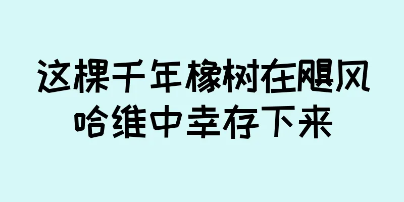 这棵千年橡树在飓风哈维中幸存下来