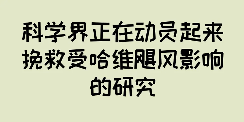 科学界正在动员起来挽救受哈维飓风影响的研究