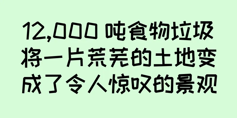 12,000 吨食物垃圾将一片荒芜的土地变成了令人惊叹的景观