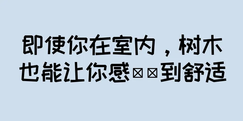 即使你在室内，树木也能让你感​​到舒适
