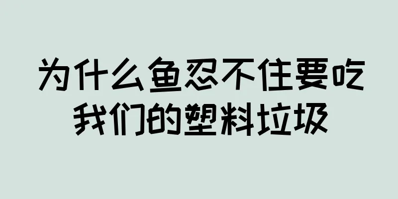 为什么鱼忍不住要吃我们的塑料垃圾
