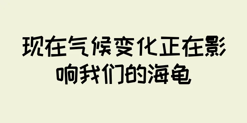 现在气候变化正在影响我们的海龟