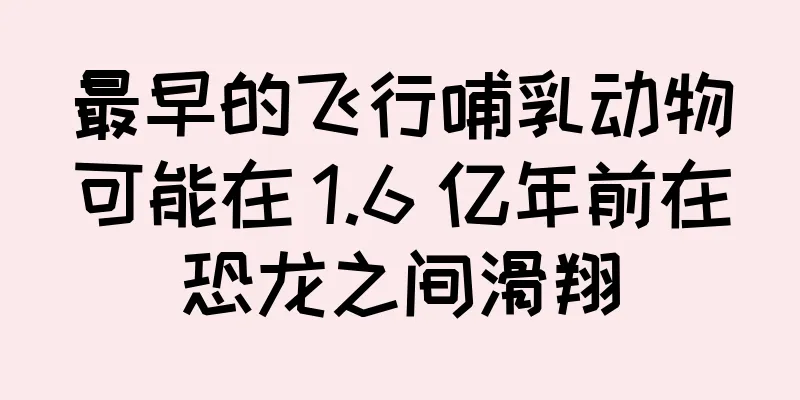 最早的飞行哺乳动物可能在 1.6 亿年前在恐龙之间滑翔