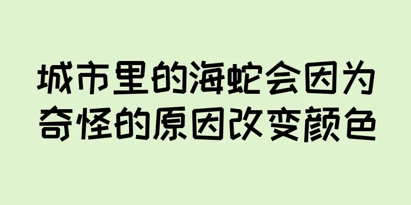 城市里的海蛇会因为奇怪的原因改变颜色