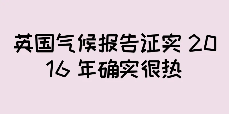 英国气候报告证实 2016 年确实很热