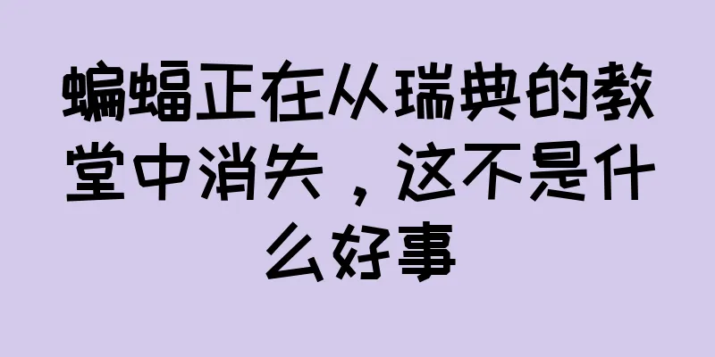 蝙蝠正在从瑞典的教堂中消失，这不是什么好事