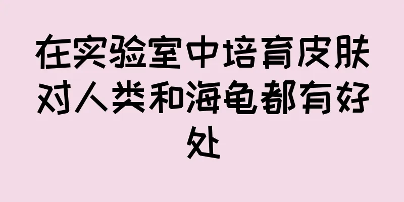 在实验室中培育皮肤对人类和海龟都有好处