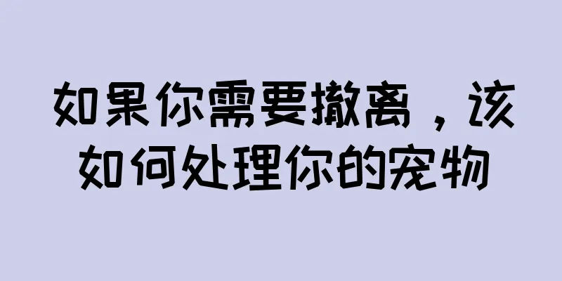 如果你需要撤离，该如何处理你的宠物
