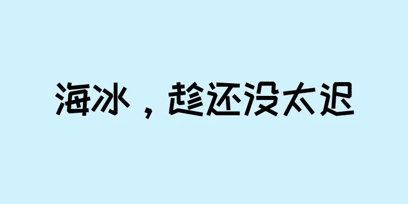 海冰，趁还没太迟