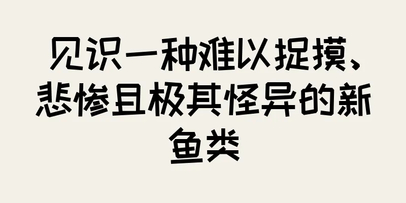 见识一种难以捉摸、悲惨且极其怪异的新鱼类